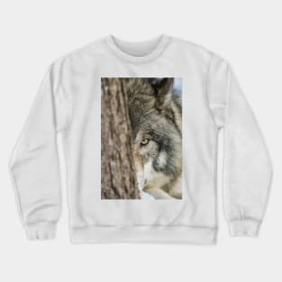 Timber Wolf - Closeup Crewneck Sweatshirt